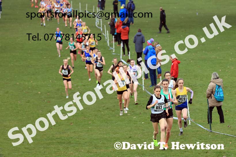 Senior Women, 2024 CAU Inter Counties Cross Country Champs., Wollaton Park, Nottingham. Photo: David T. Hewitson/Sports for All Pics